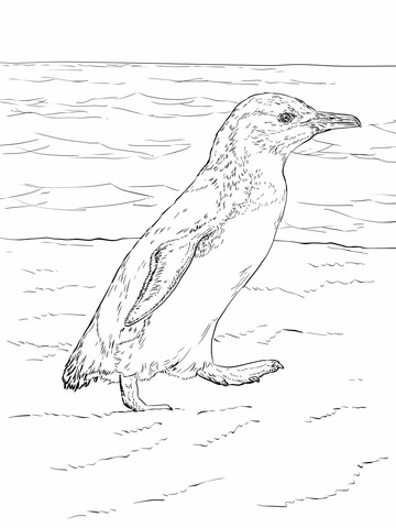 Little Blue Penguin Walks Coloring Page